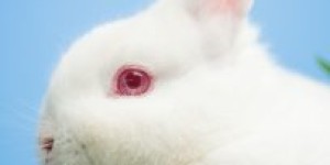 我们家的“小调皮”