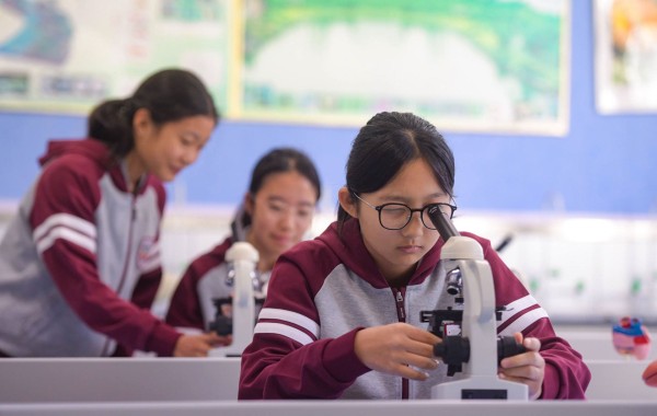 科学教育